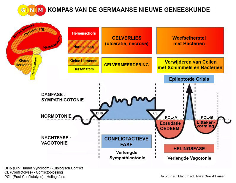 De 5 Biologische Natuurwetten
